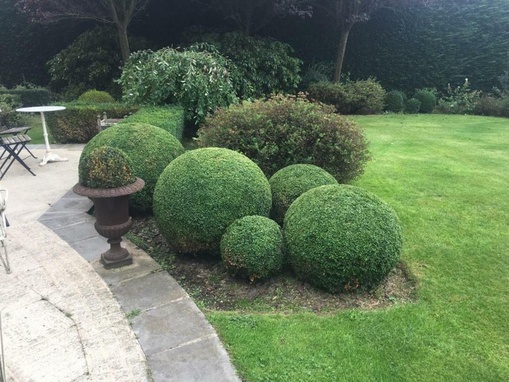 Le Vert Logis Lasne Exterior foto